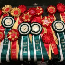 20161214-erba-club-show-0 20161214-erba-club-show-0